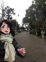 大井神社の初詣