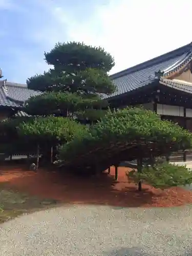 鹿苑寺（金閣寺）の自然