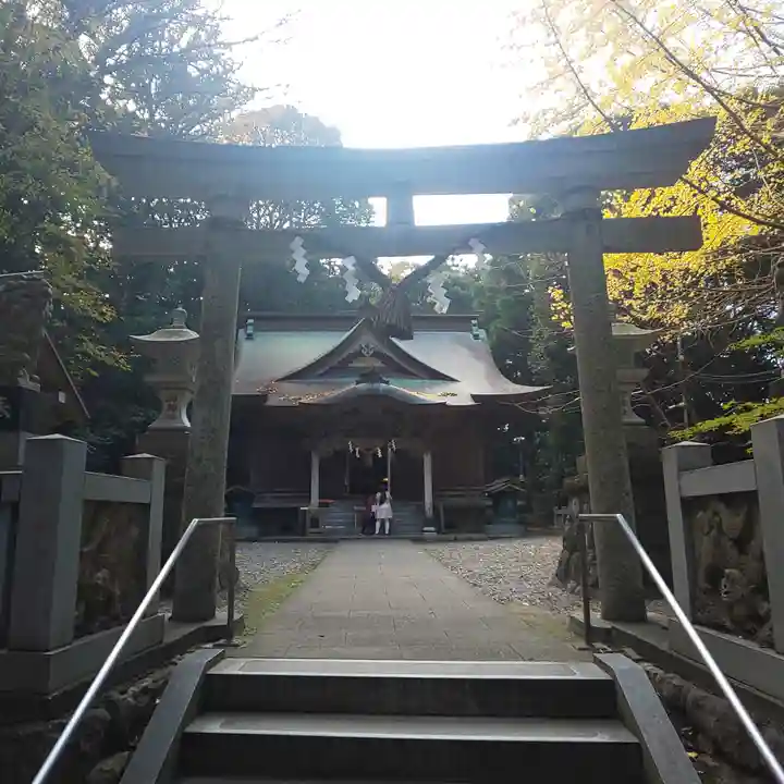 泉神社の鳥居