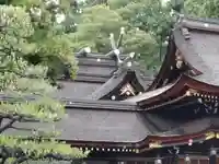 多賀大社の本殿・本堂