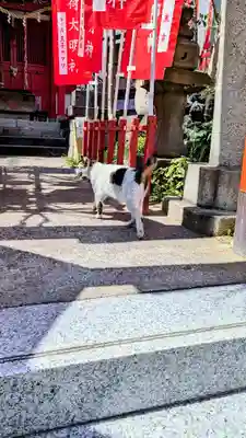 装束稲荷神社(王子稲荷神社境外摂社)の動物