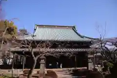 豪徳寺の建物その他