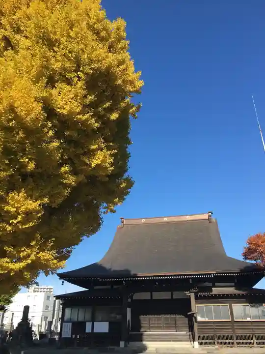 法国寺の本殿・本堂