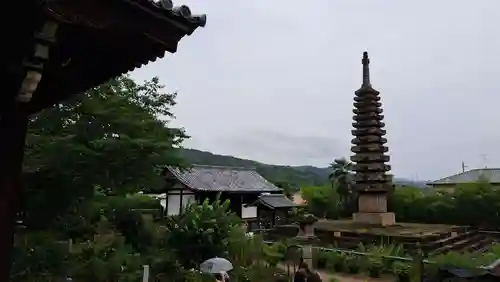 般若寺 ❁﻿コスモス寺❁(奈良県)