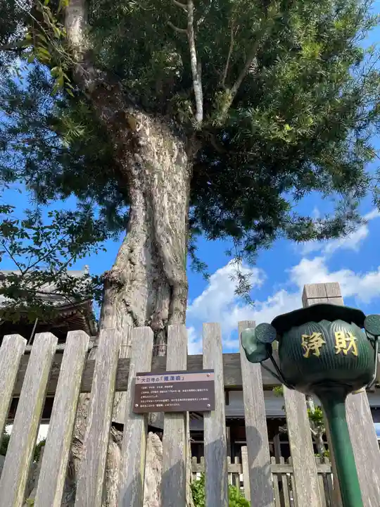 大日寺(徳島県)