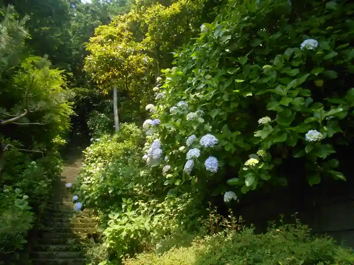 岩殿寺(神奈川県)