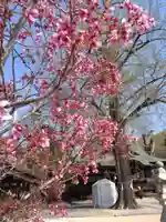 賀羅加波神社の自然