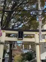 子安神社の鳥居