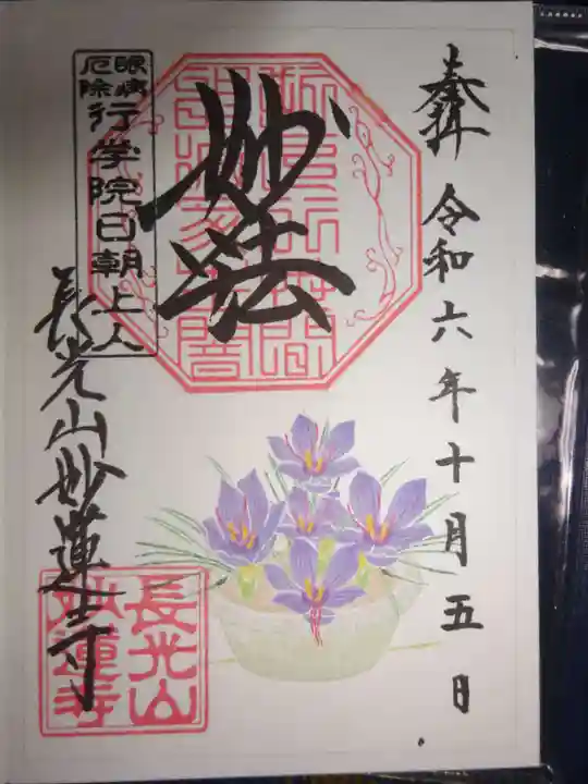 妙蓮寺の御朱印