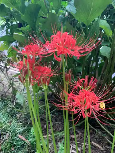 楞厳寺(茨城県)