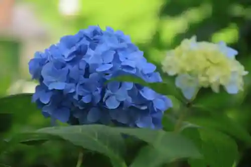 長屋神社の庭園