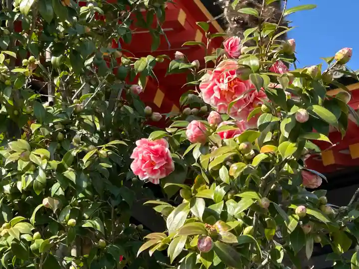 高幡不動尊 金剛寺(東京都)
