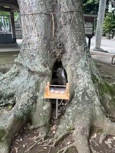 一言主神社(茨城県)