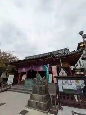 浅草神社の狛犬