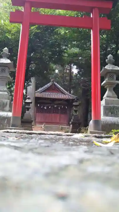 前玉神社の鳥居