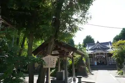 若宮八幡宮 の手水舎