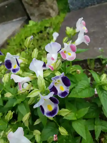 大円寺(東京都)