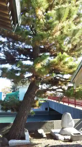 船玉浦神社の庭園