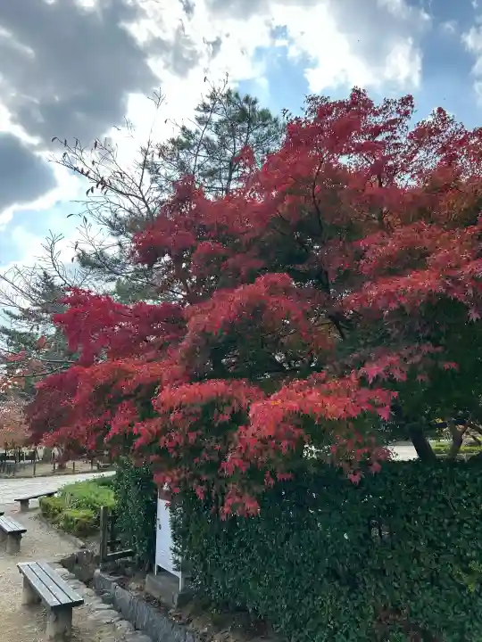 法隆寺の{uncategorized: "未分類", other: "その他", undefined: "問題あり", building: "その他建物", grave: "お墓", sacred_gate: "鳥居", guardian: "狛犬", statue: "像", buddha: "仏像", history: "歴史", nature: "自然", garden: "庭園", animal: "動物", pagoda: "塔", temizu: "手水舎", mountain_gate: "山門・神門", sanctuary: "本殿・本堂", subordinate: "末社・摂社", art: "芸術", scenery: "景色", jizo: "地蔵", ema: "絵馬", goshuin: "御朱印", omikuji: "おみくじ", items: "授与品その他", amulet: "お守り", goshuincho: "御朱印帳", eats: "食事", festival: "お祭り", votive_dance: "神楽", shichigosan: "七五三参", wedding: "結婚式", experience: "体験その他", initially: "初詣", around: "周辺", anti_infection: "感染症対策"}