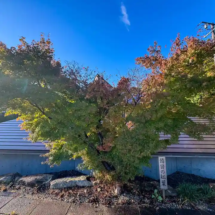 伊勢の国 四天王寺(三重県)
