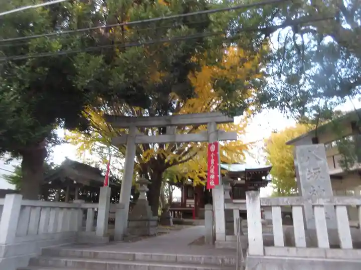 小金八坂神社(千葉県)