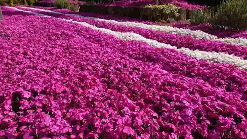 寿量山　速成寺の自然