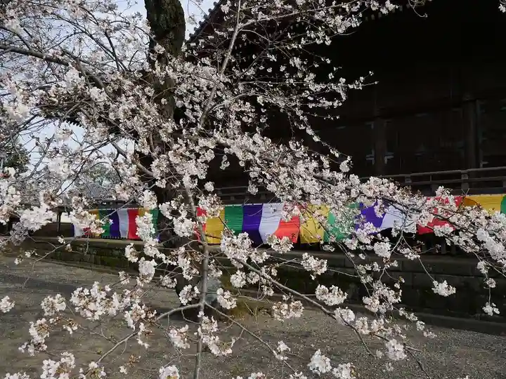 寛永寺(根本中堂)の自然