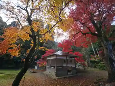 興聖寺(滋賀県)
