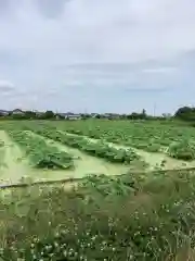 太聖寺の自然