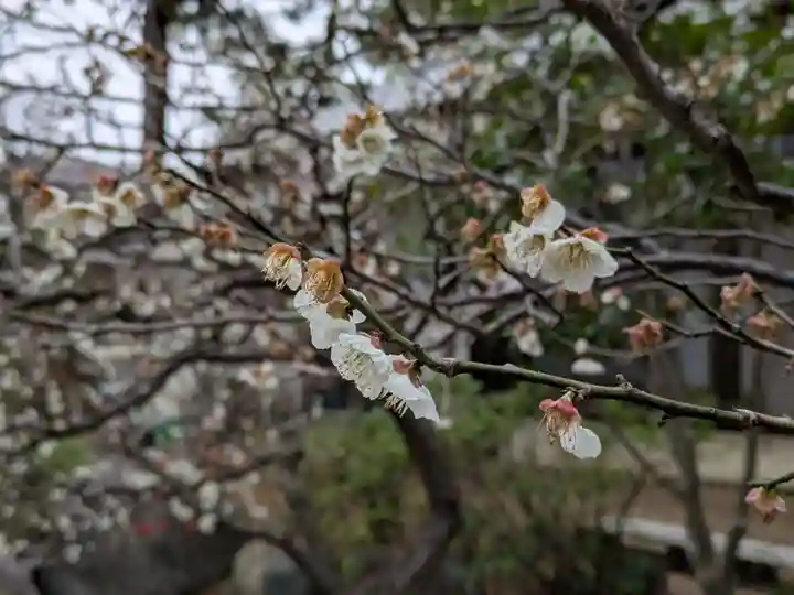 諏訪神社(千葉県)