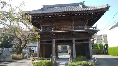 海善寺の山門・神門