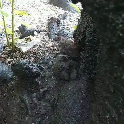 元郷氷川神社の周辺