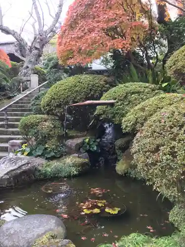 報国寺の庭園