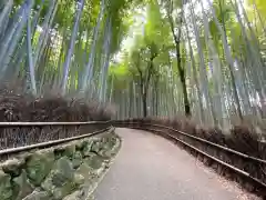 常寂光寺(京都府)