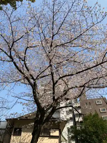 蒲田八幡神社の自然