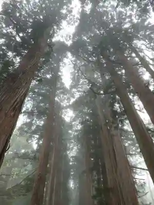 戸隠神社奥社(長野県)