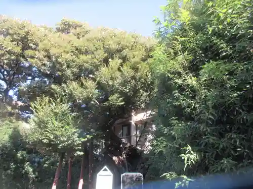 延命院(東京都)