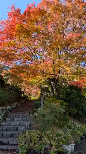善峯寺(京都府)