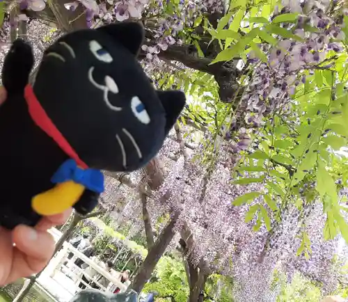 亀戸天神社(東京都)