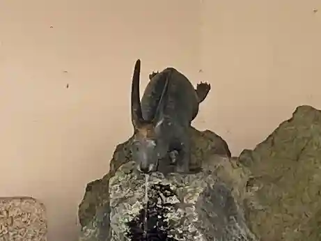 宇治神社の狛犬