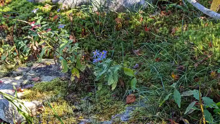 実光院(京都府)