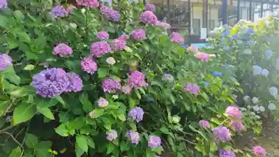 山神社(宮城県)