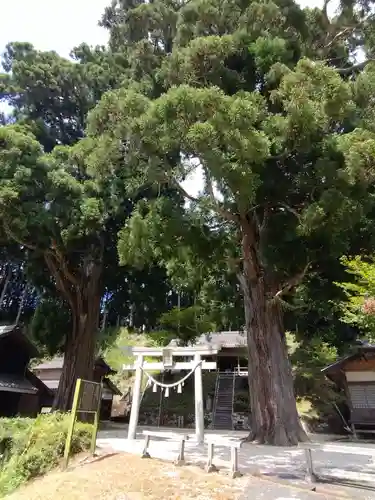 八幡神社(愛知県)