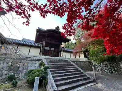 光明寺（粟生光明寺）(京都府)