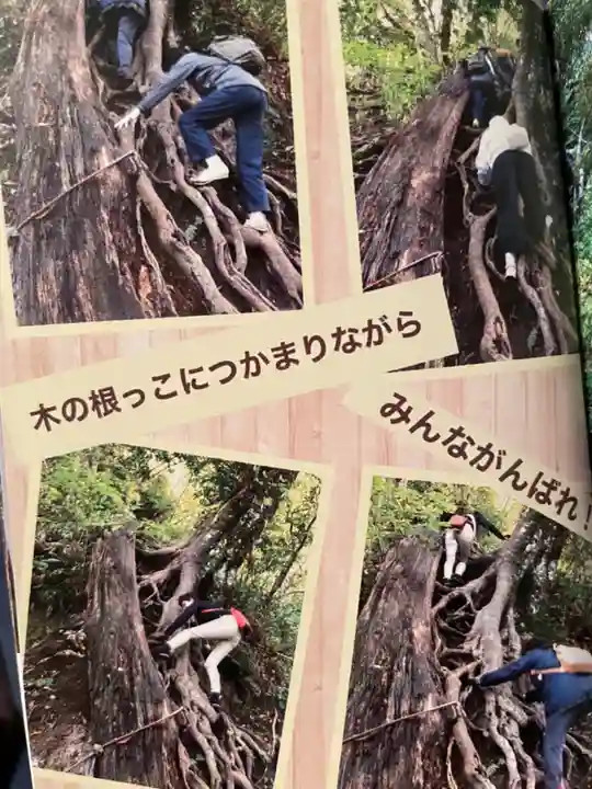 三佛寺(鳥取県)