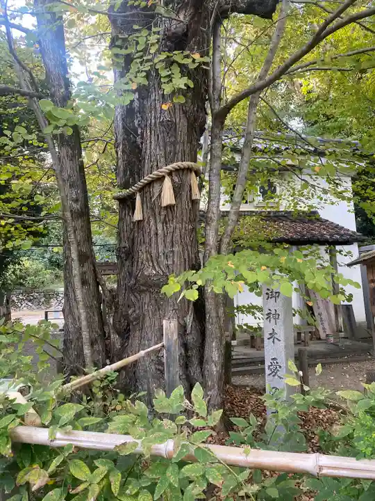 梨木神社の自然