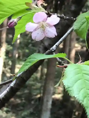 筑波山神社の自然