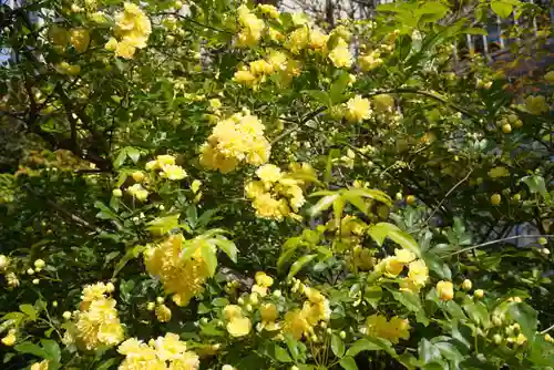 三輪神社の自然