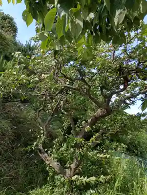 阿夫利神社(茨城県)