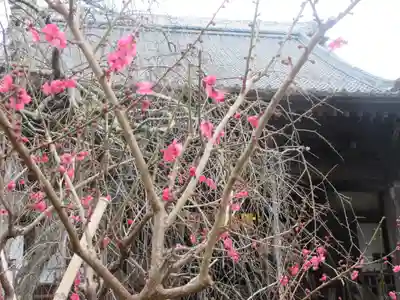 宝戒寺(神奈川県)